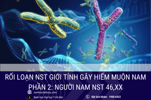 Hội chứng người nam 46,XX