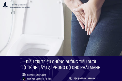 Điều trị triệu chứng đường tiểu dưới: Lộ trình lấy lại phong độ cho phái mạnh
